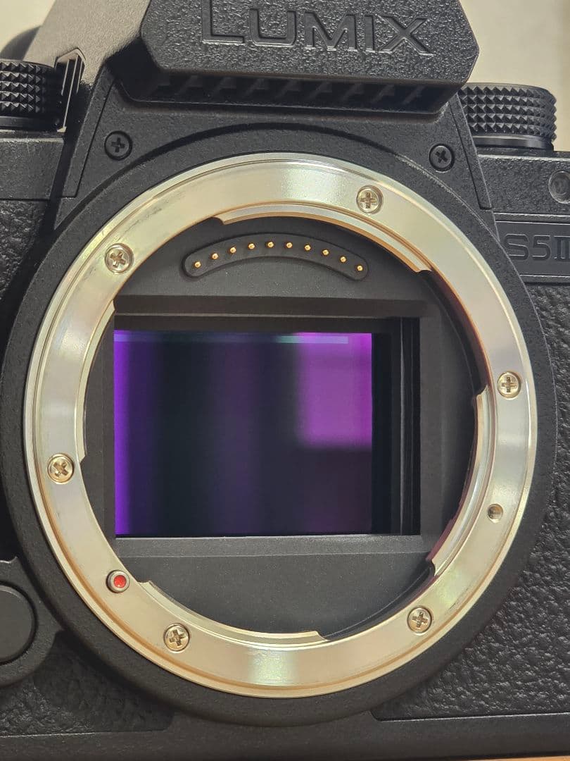 Panasonic LUMIX S5IIX ボディ 付属品有