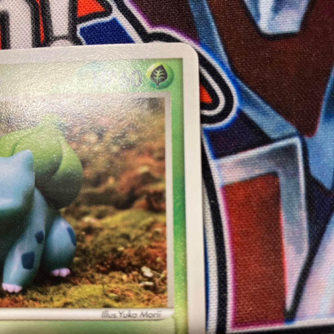 メタモン　フシギダネ