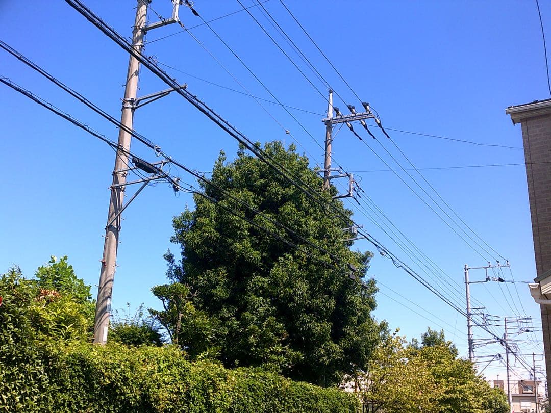 セール　トイデジ　平成レトロ　進研ゼミデジカメ