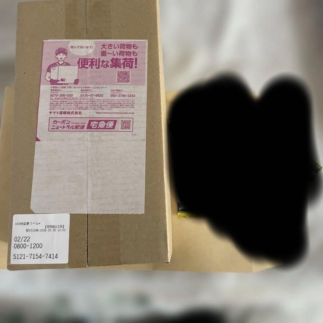 新品未開封 ポケモンセンター フクオカ スペシャルBOX １箱 ダンボール未開封
