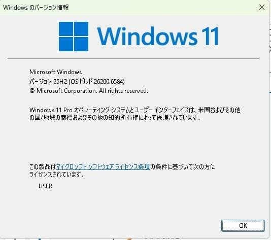 Win11pro最新25H2&Office★ASUS X202E★ タッチパネル