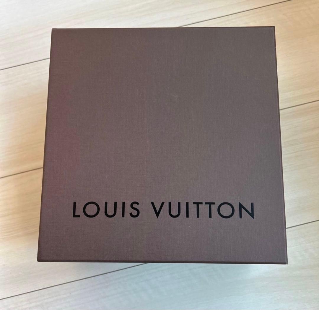 ルイヴィトン 空箱 2点セット 保存袋2枚 大型LOUIS VUITTON 旧型