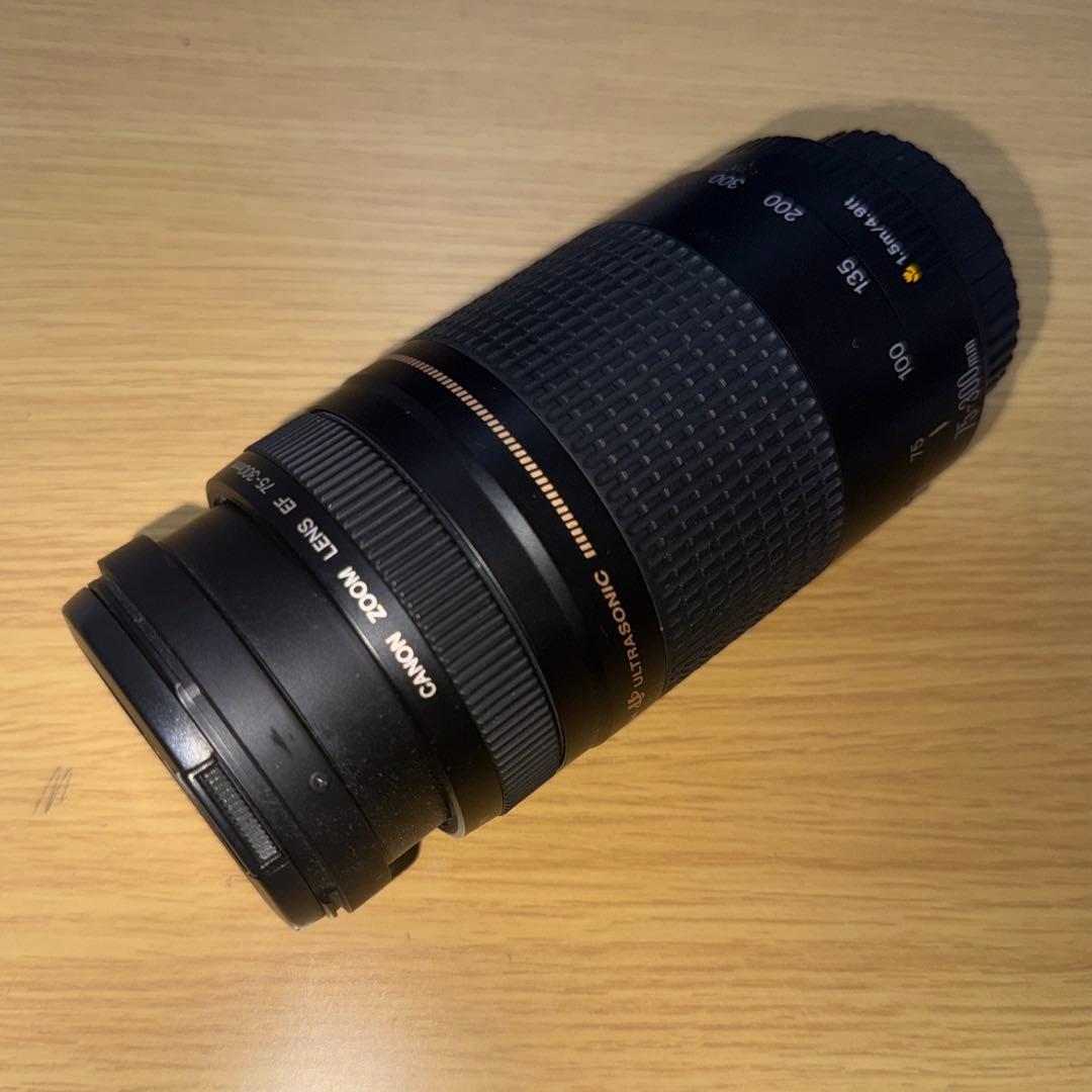 Canon キャノンEF75-300mm F4-5.6 III 超望遠レンズ