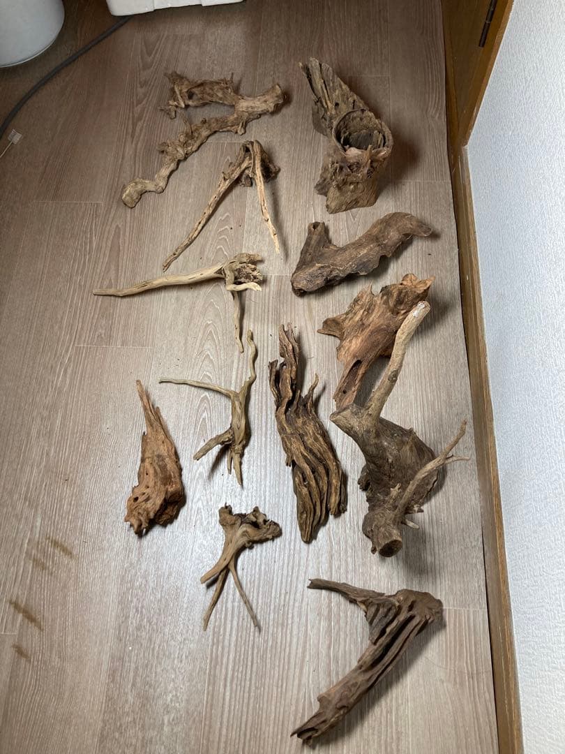 流木セット
