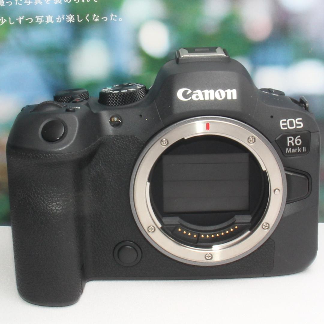 ❤️予備バッテリー付き❤️Canon EOS R6 MARKII 近遠対応レンズ