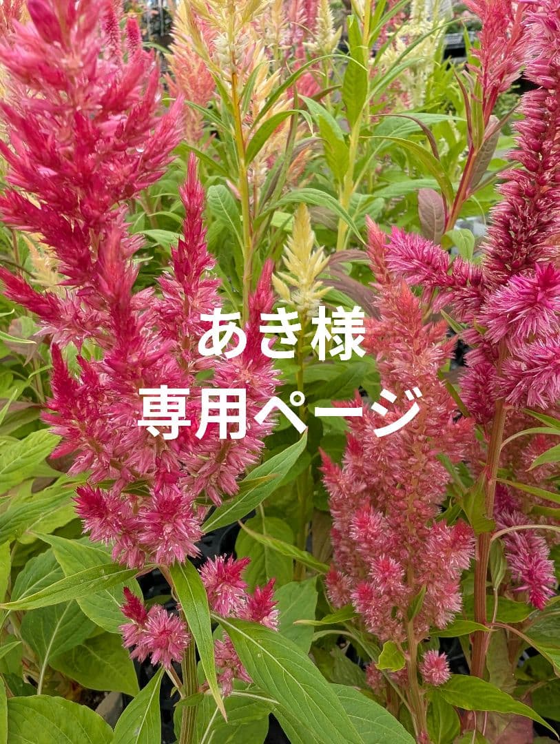 ラボット服　LOVOT　ハンドメイド　あきページ
