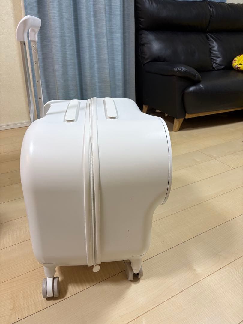 Pidan ペット