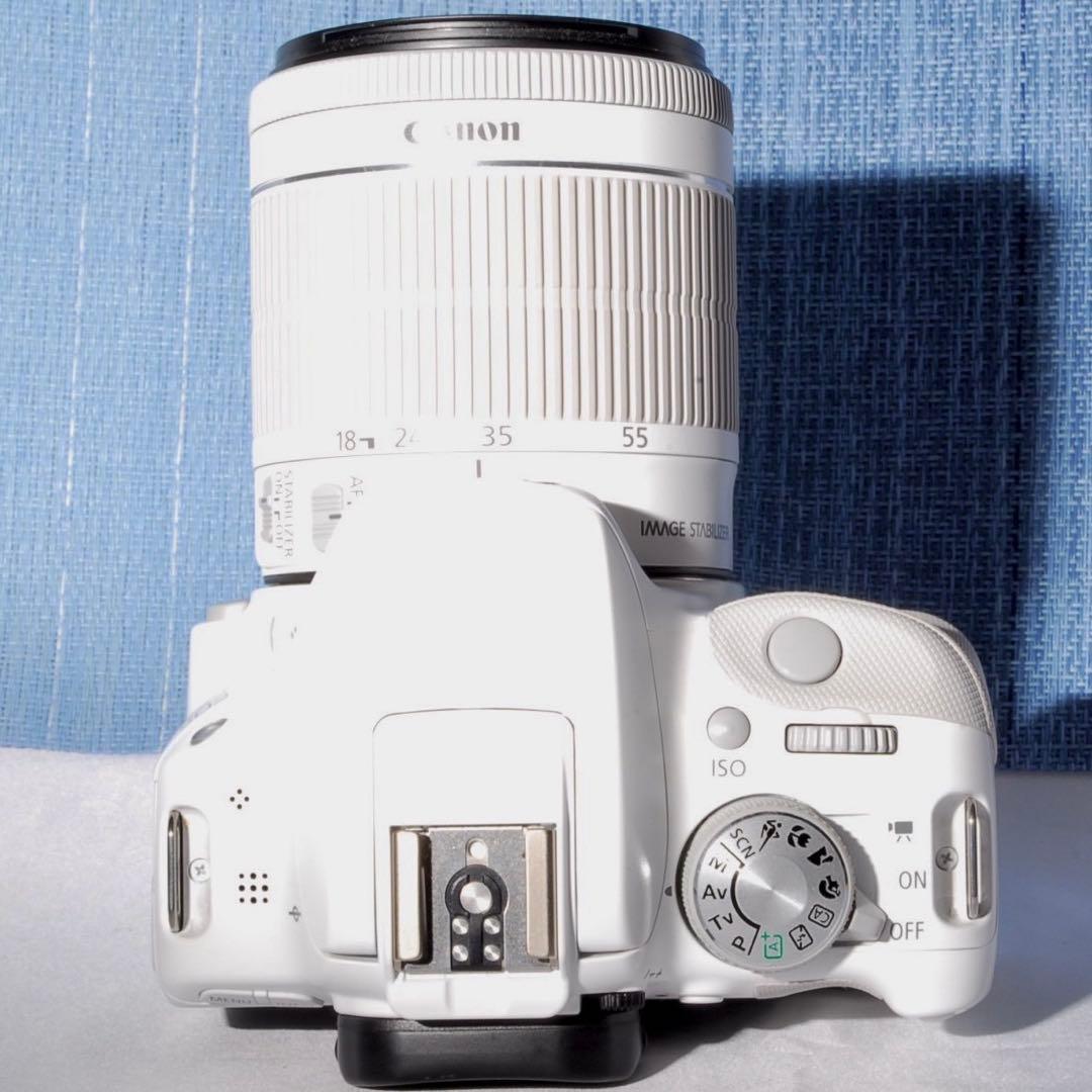 ✨収納ケース付き♪Canon EOS Kiss X7 ♥️キズほとんどない超美品