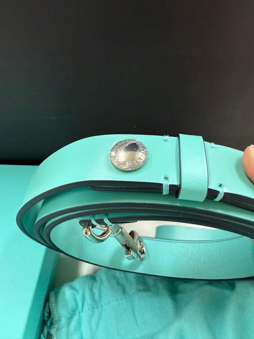 ユ*リ様 新品 ティファニーTiffany レザー リード ペットリーシュ ドッ