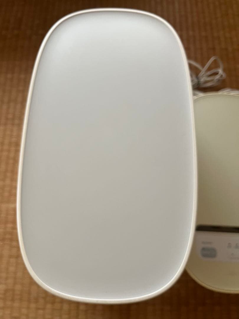 saqina pino サキナ　ピノ　美顔器　スチーマー