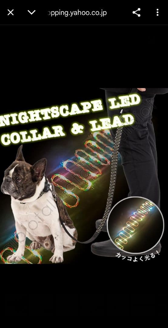 MANDARINBROTHERS　 LED COLLAR & LEASH S-M