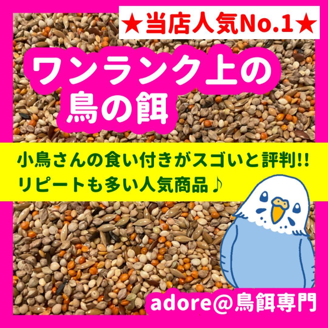 【なお】鳥の餌セット