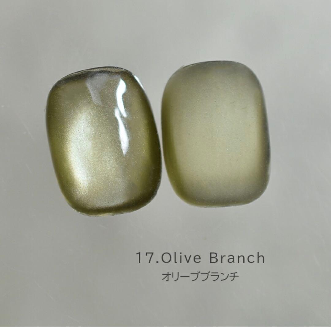 Nail Style アクアグローマグ後半色セット