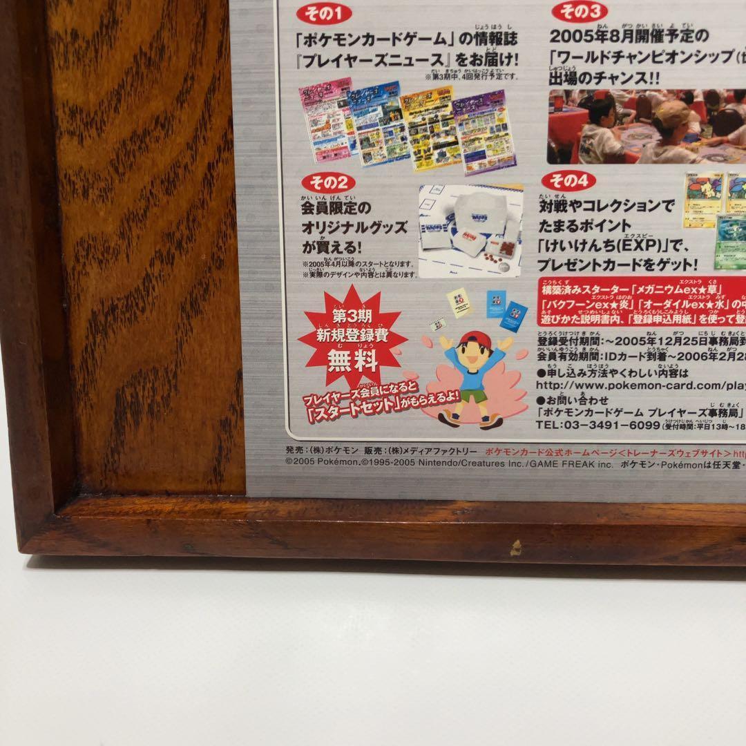 ポケモンカードゲーム メガニウム バクフーン オーダイル チラシ 2005 A