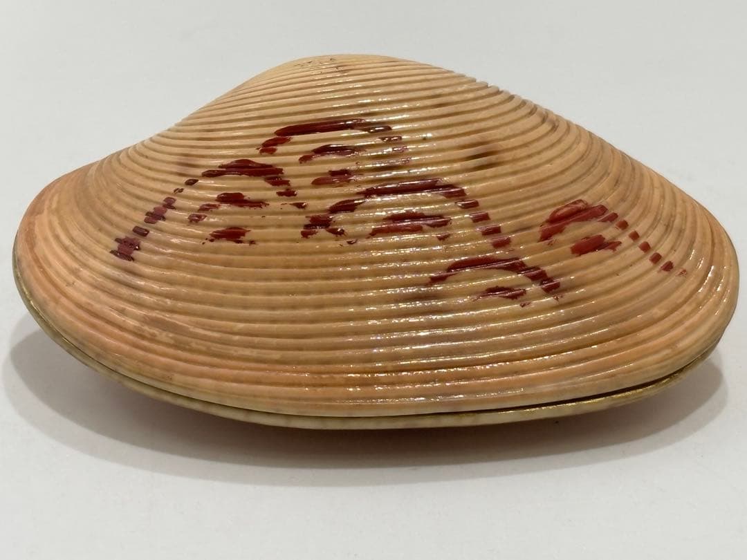 茶道具 簾貝香合 すだれ貝 九代 中村宗哲 惺斎箱書 波自画 香合