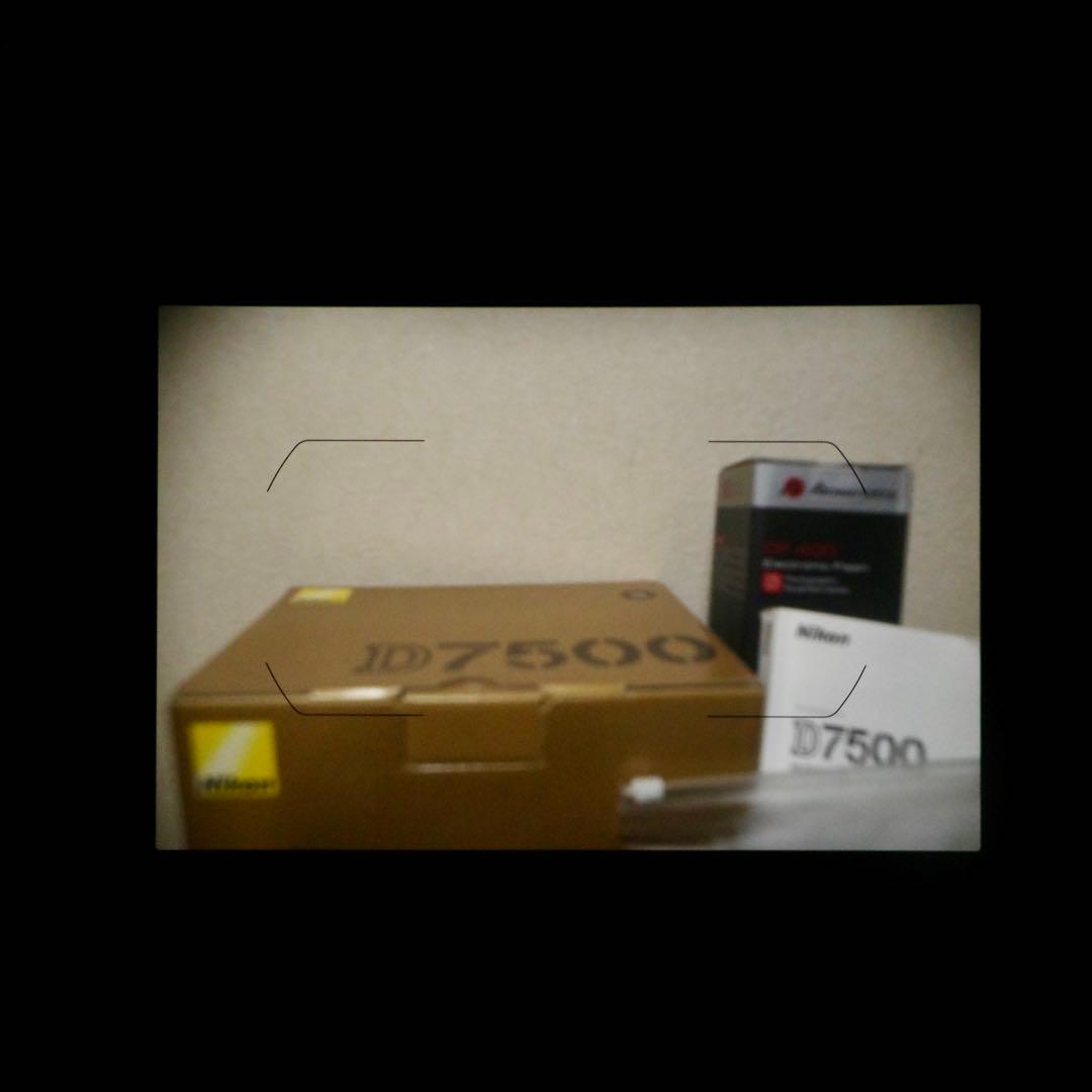 【Nikon D7500】シャッター回数8404回_本体＋レンズ2つ