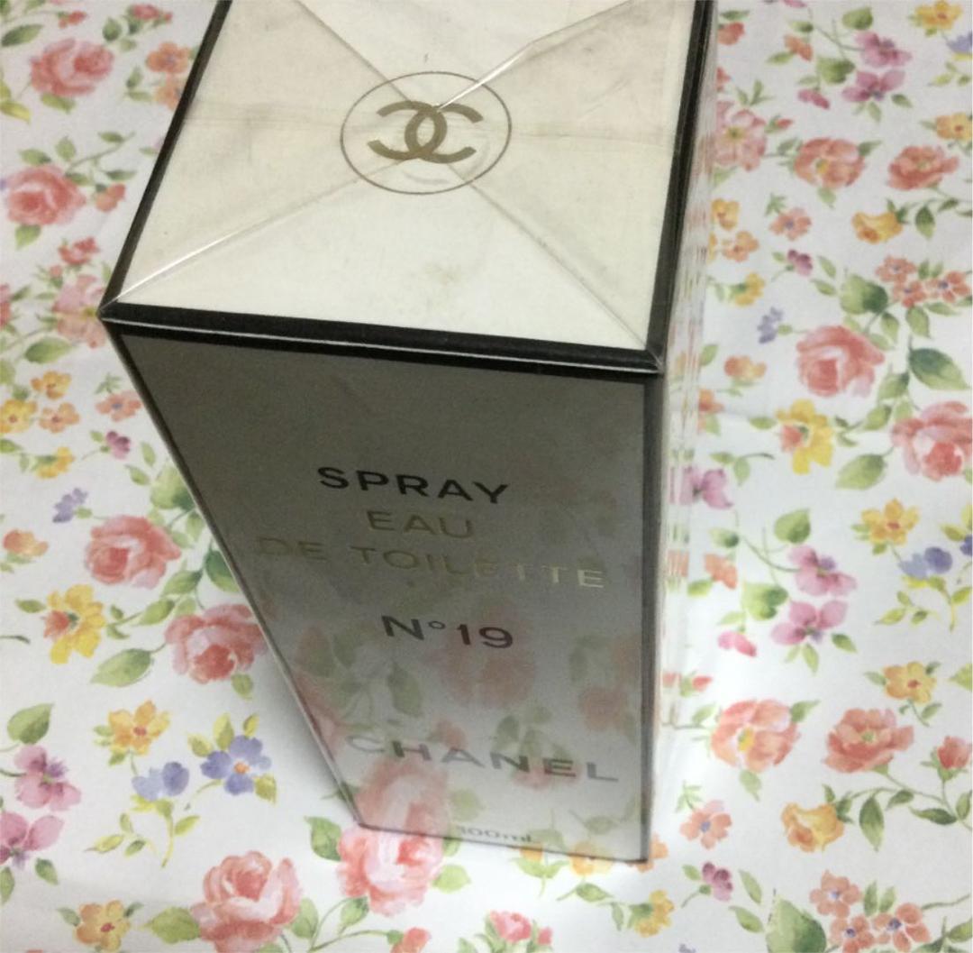 シャネル　19 オウドトワレ　スプレー　100ml CHANEL