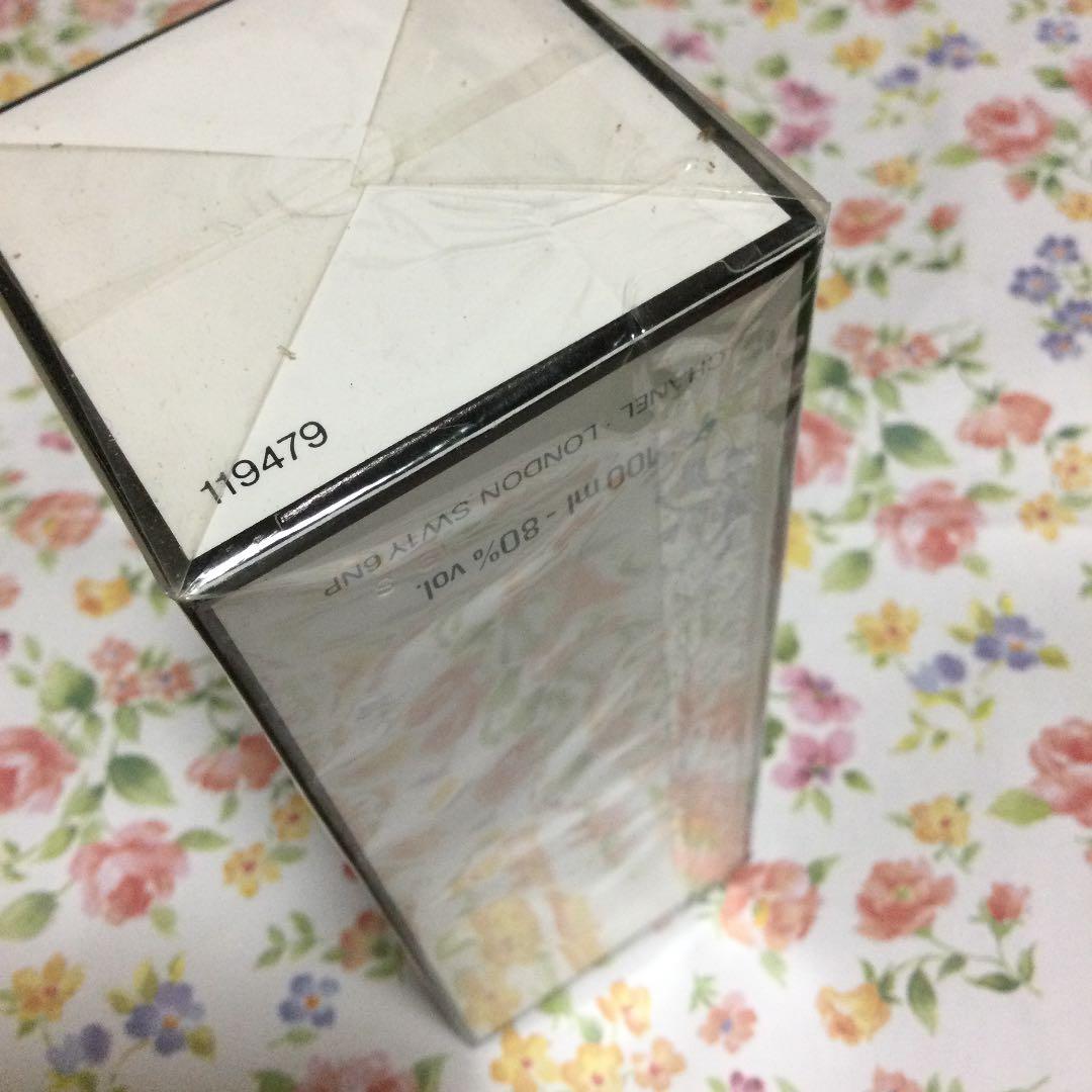 シャネル　19 オウドトワレ　スプレー　100ml CHANEL