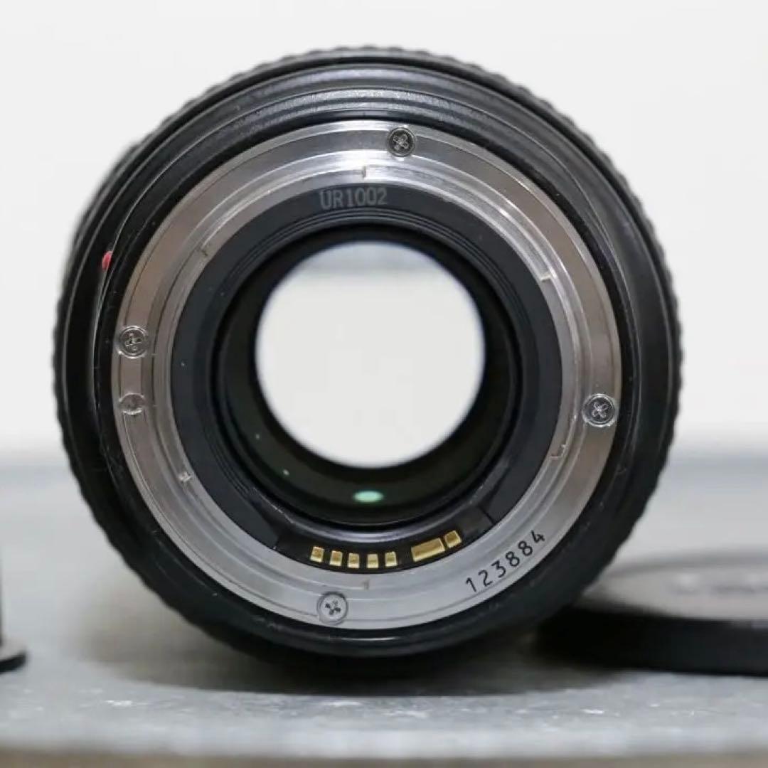 Canon EF 24-70mm f/2.8L USM ズームレンズ