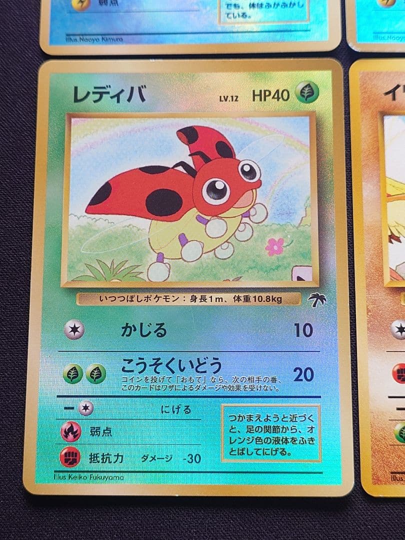 マリル　レディバ　イワーク　旧裏　サザンアイランド