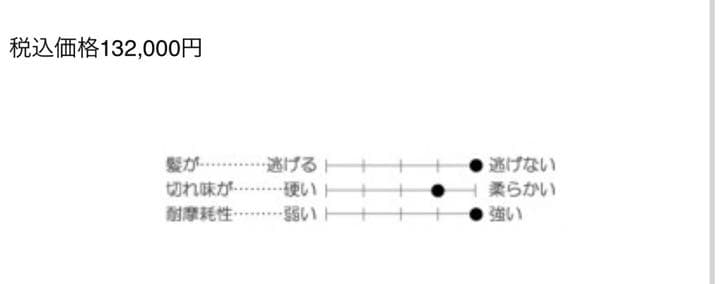 サイキシザーズ HSS 6.0 Basic ステライト SAIKIカットバサミ