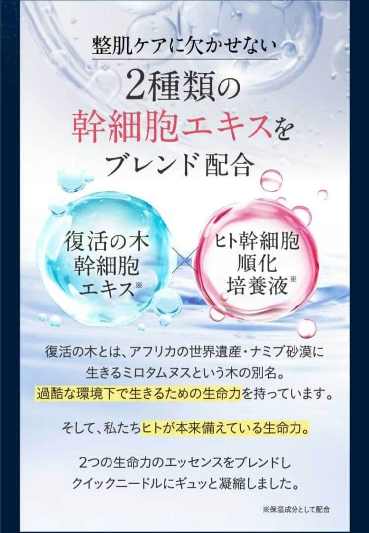 NNEグライディングファンデーション　 ニュートラル 　ケース付き
