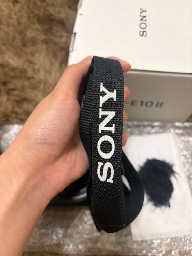 【美品】SONY(ソニー) ZV-E10 II(同梱レンズ:SELP16502)
