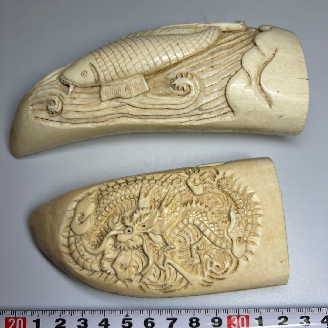 本抹香鯨歯2本　542g 約12/13.5㎝　東Y8-0105☆2F