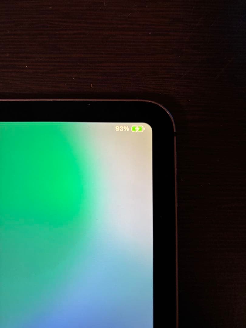 iPad Pro 11インチ256GB