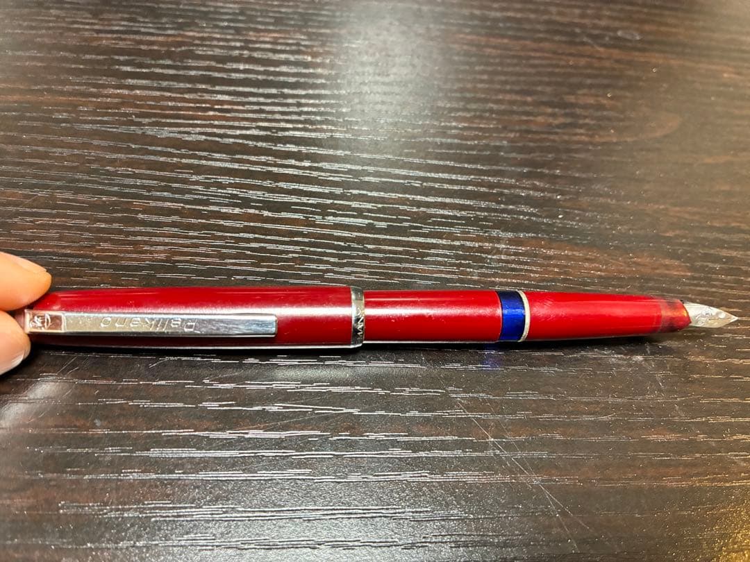万年筆　ボールペン　計6本セット(pilot、pelikanoなど) ケース付き
