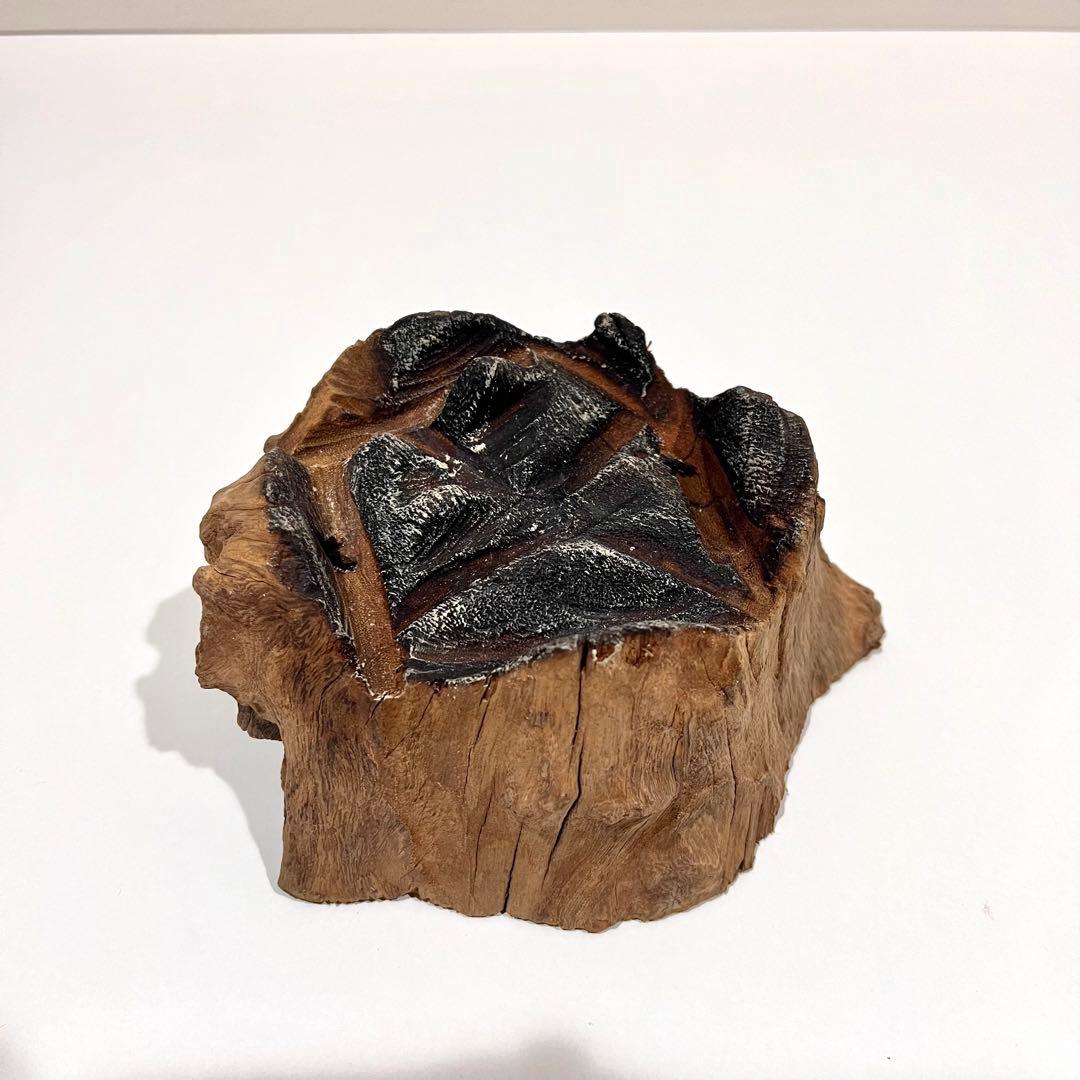 1点物 流木ガラス アクアリウム テラリウム