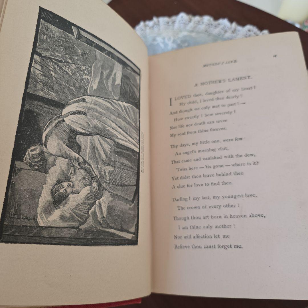 アンティーク　洋書　布生地　金装飾