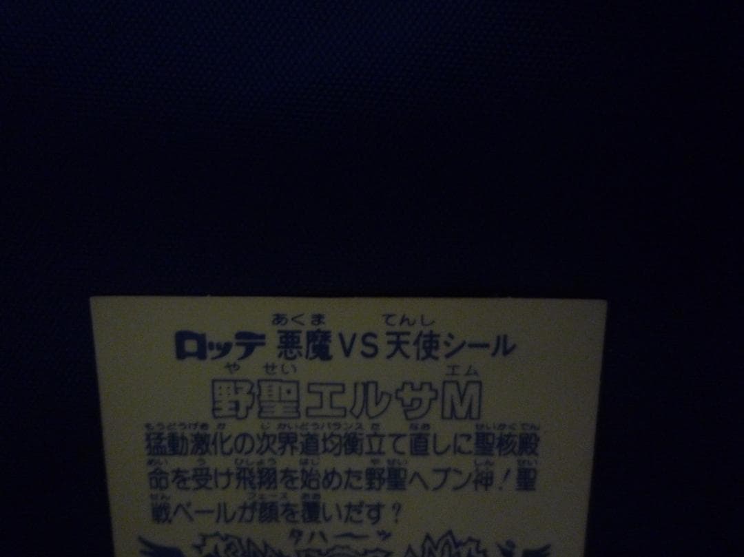 野聖エルサＭ