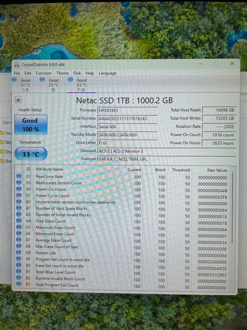 内蔵型SSD Netac 1TB SSD SATA 6Gb/s