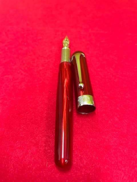 未使用品 AURORA アウロラ万年筆 アルファレッド 14k EF 即日配送