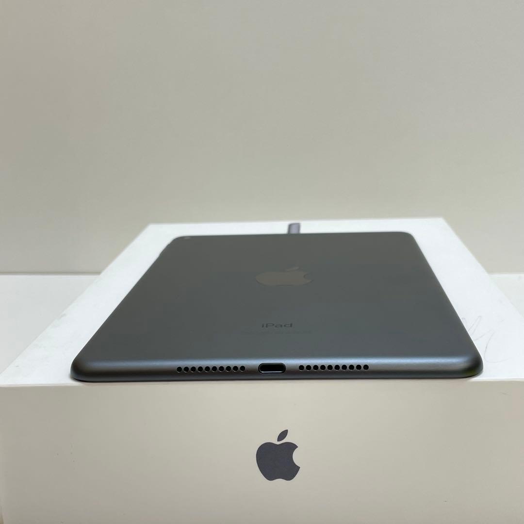 iPad Mini 第5世代 64GB Wi-Fi 100%