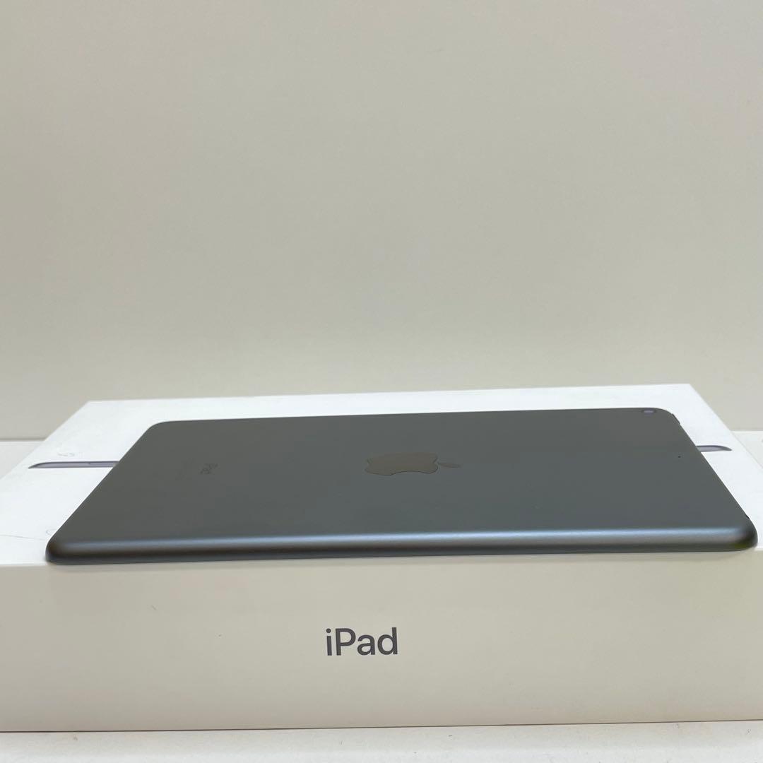 iPad Mini 第5世代 64GB Wi-Fi 100%
