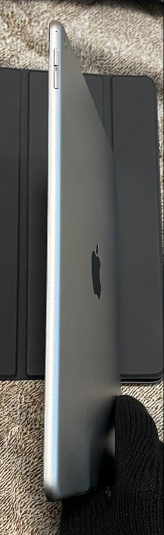 iPad Air 9.7インチ 第2世代 Wi-Fi 64 GB スペ