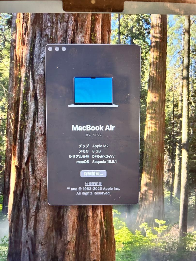 【液晶割れジャンク】MacBook Air 2022 M2