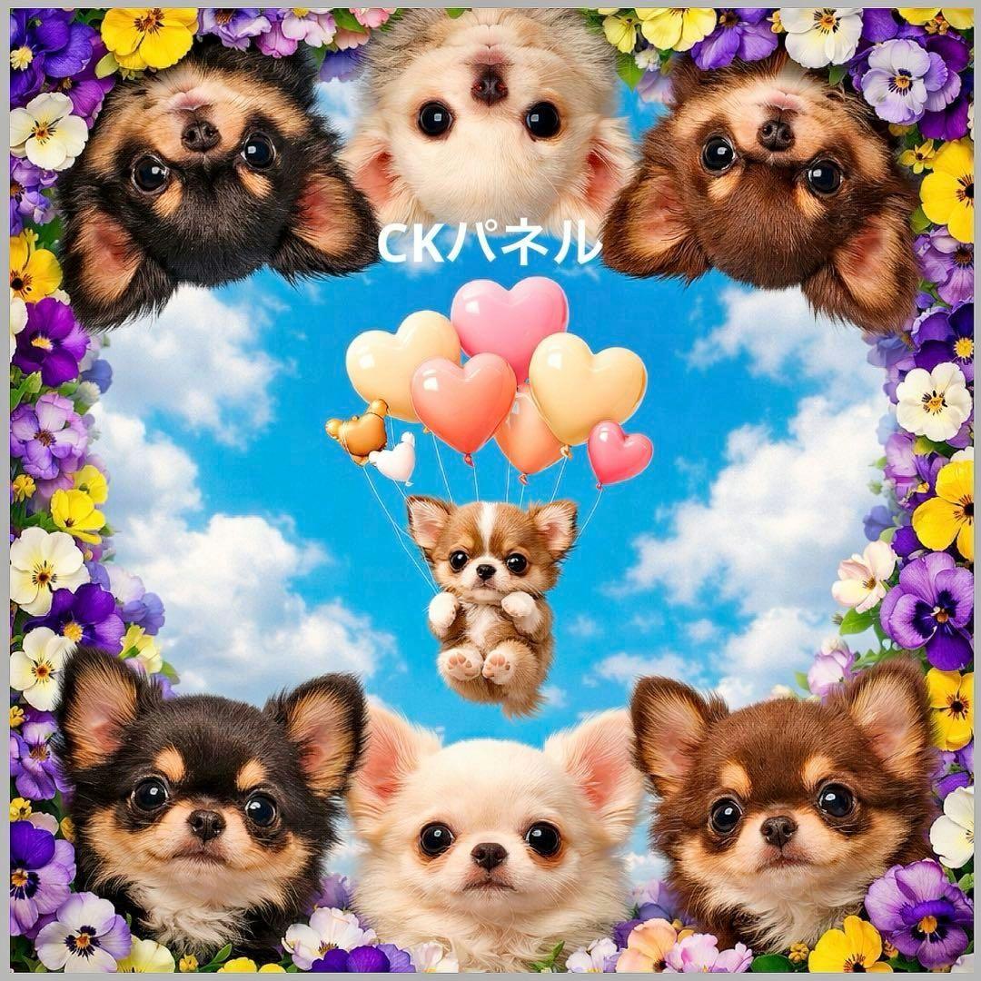 激レアトイプー、ポメラニアン、柴犬、チワワ、ダックス、パグパネル生地