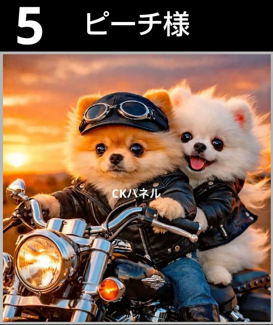 オーダーページ　ハンカチ51 バイクわんこ柄　ハンドメイド3/17