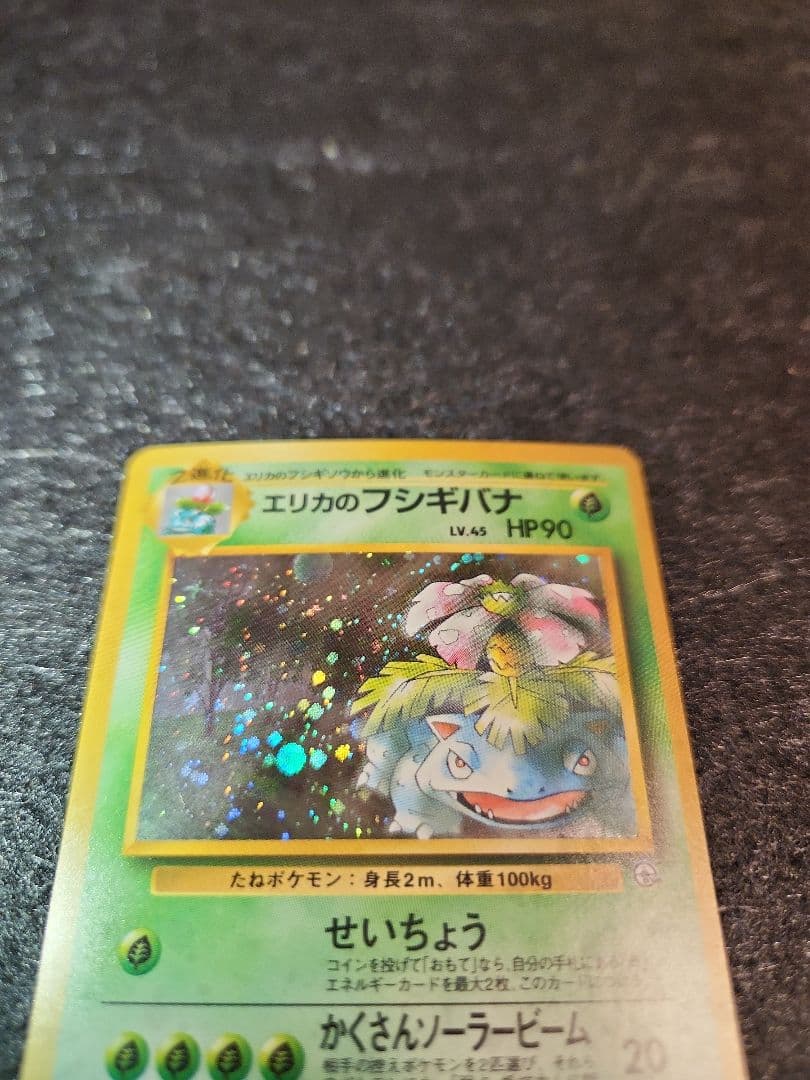 旧裏　エリカのフシギバナ