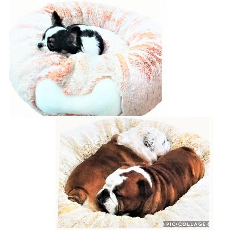 とろけるベッド XXLサイズ ラビットファー 小型 中型 犬AN47 48 49