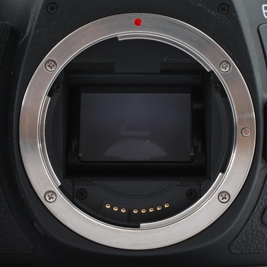 【美品】Canon EOS 6D Mark II + EF 24-70mm