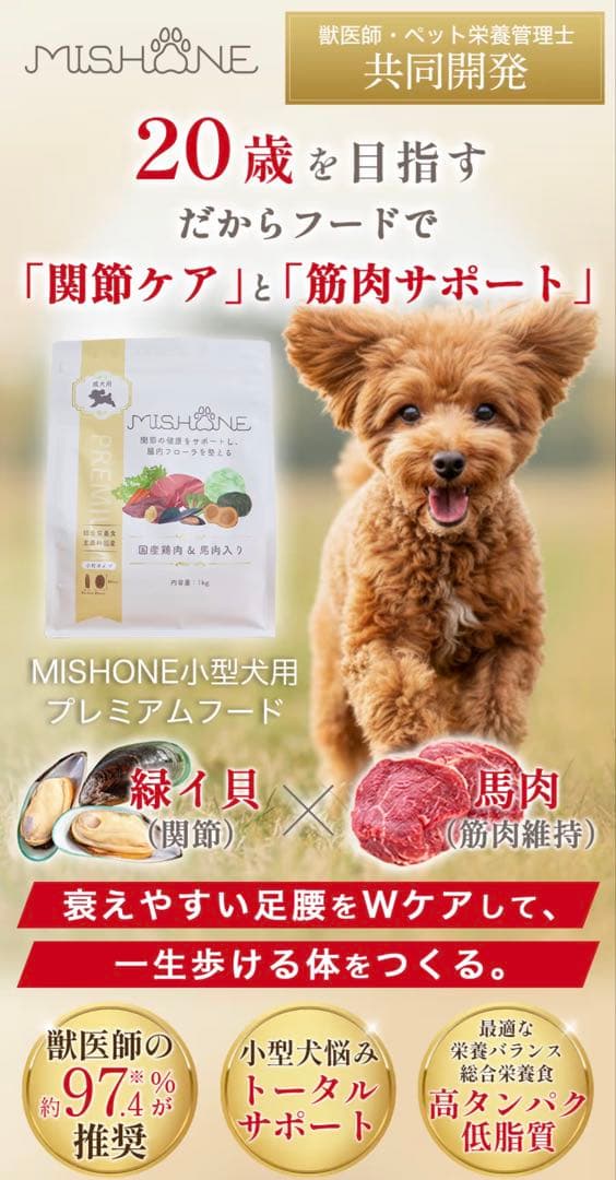 MISHONE ミシュワン ドライドッグフード 成犬用　総合栄養食　小粒　２袋