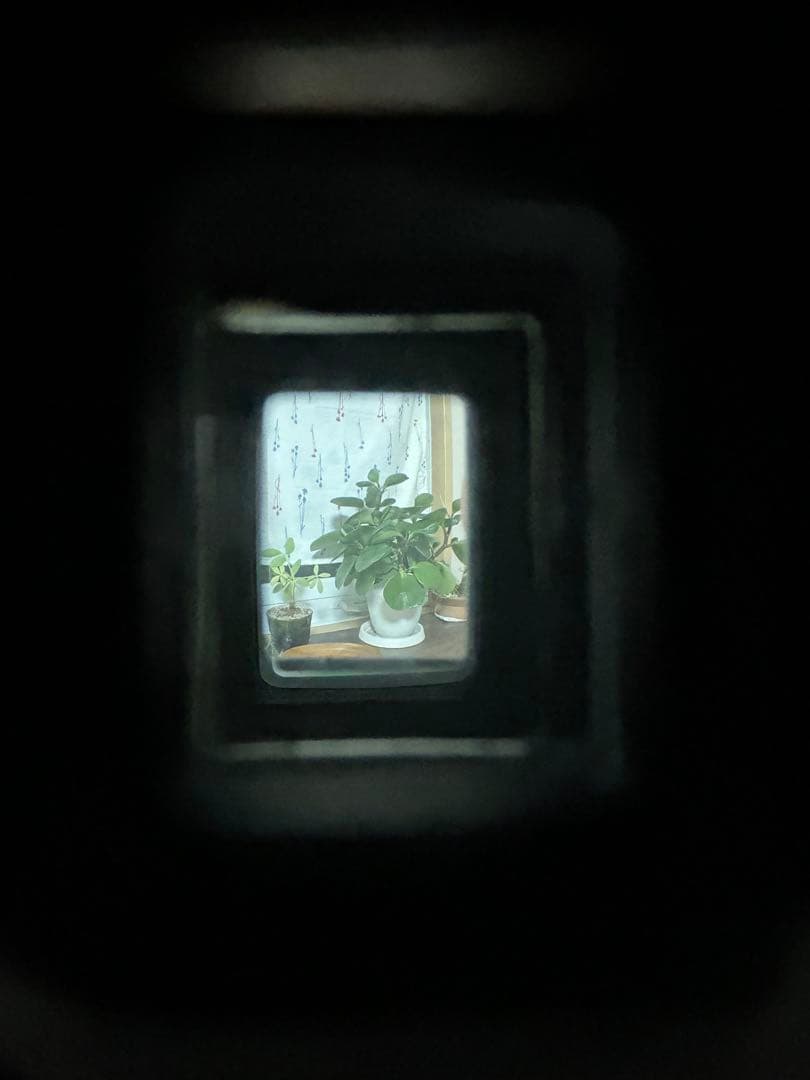 OLYMPUS-PEN EE-3 コンパクトフィルムカメラ 【フィルム付き】