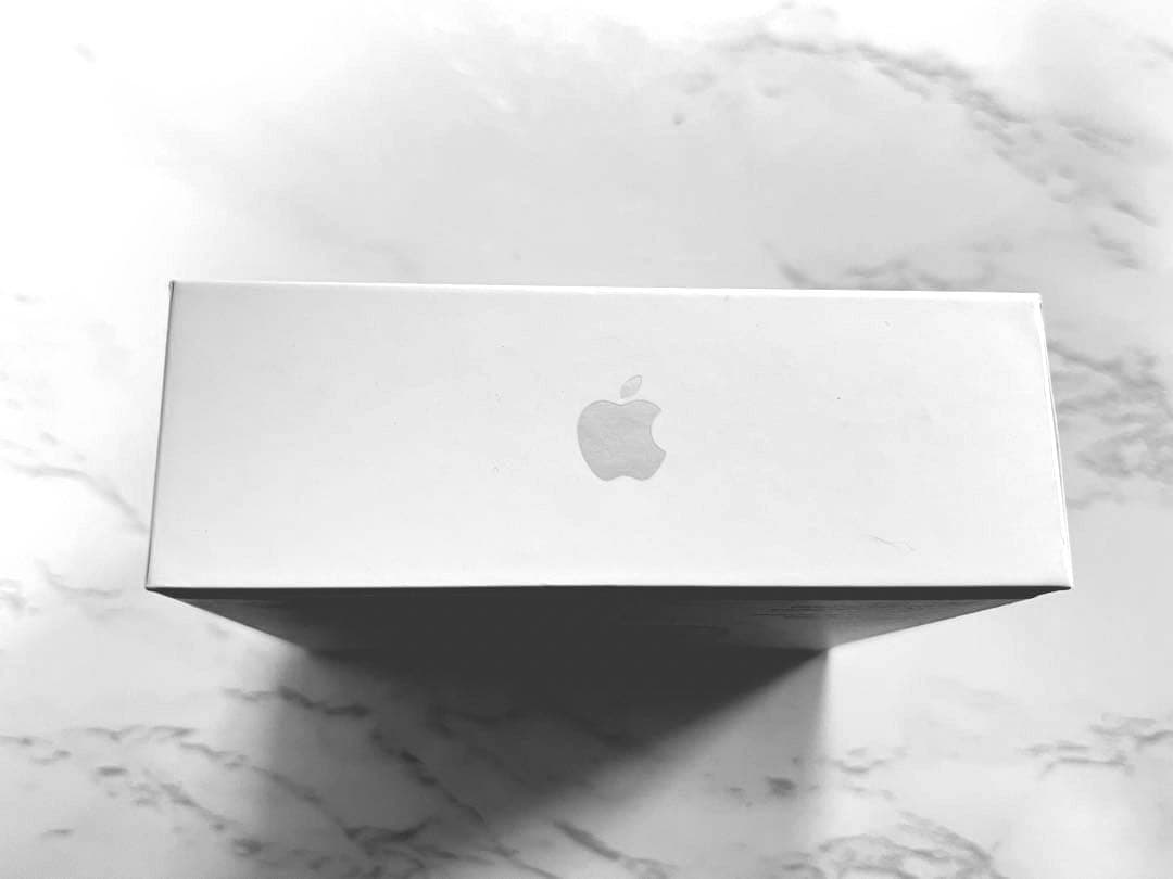 [美品]Apple Airpods 第一世代 [国内純正品 ]