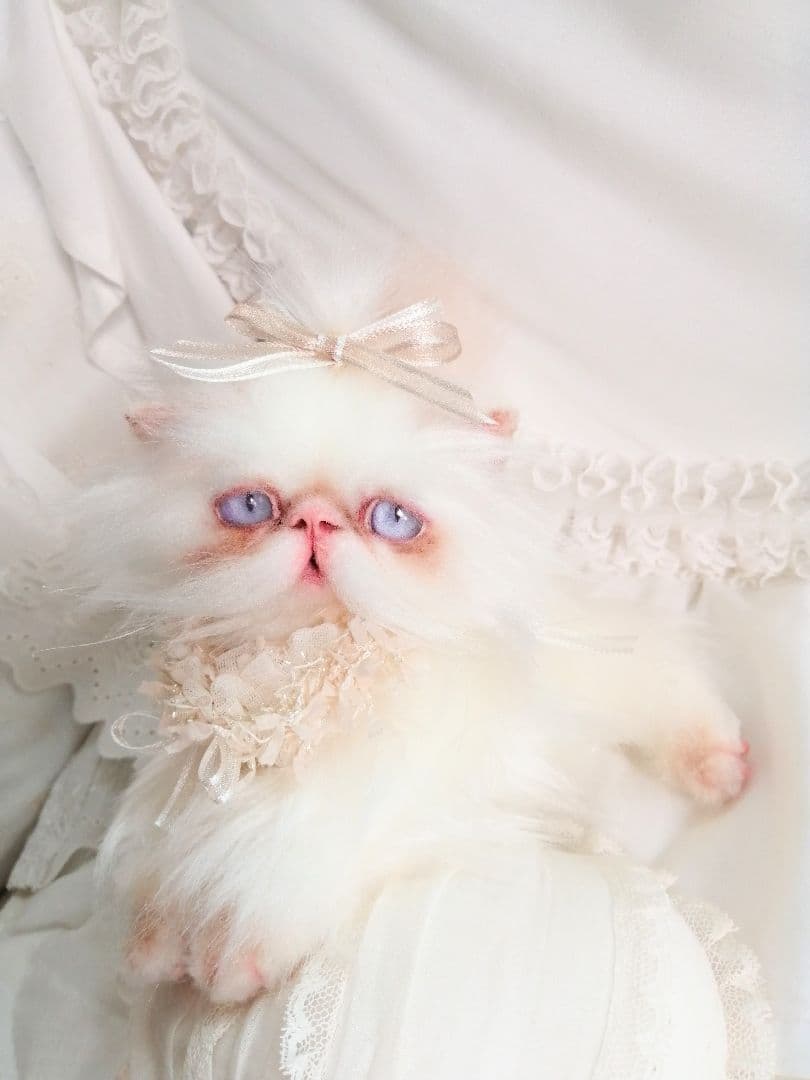 エキゾチックロングヘア♡一歳の子猫ちゃん♡美人さん♡アートドール♡ぬいぐるみ♡