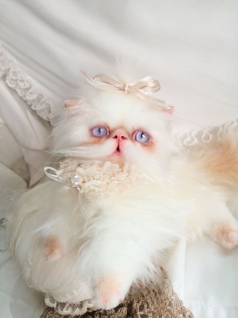 エキゾチックロングヘア♡一歳の子猫ちゃん♡美人さん♡アートドール♡ぬいぐるみ♡