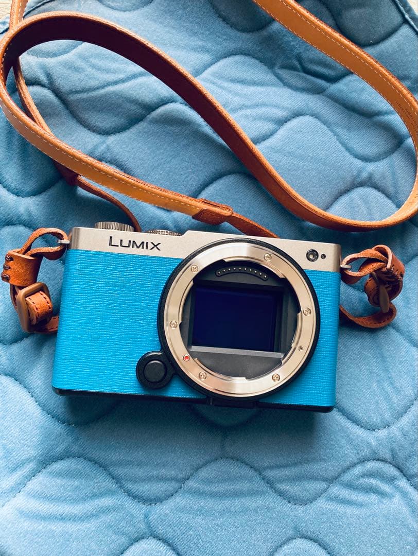 （ほぼ新品）LUMIX S9 ミラーレス一眼 ターコイズブルー